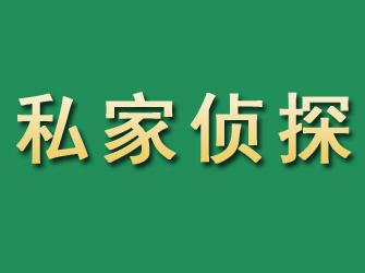 江东市私家正规侦探